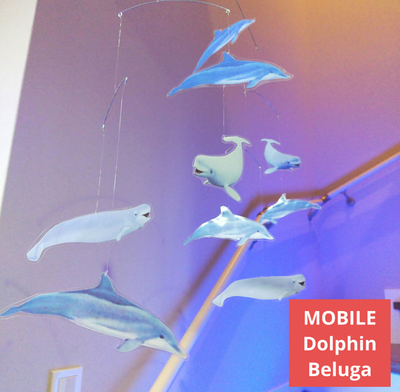 シロイルカ　＆　ベルーガ ドルフィン dolphin モビール mobile　イルカ  Beluga　Dolphin　M 1枚目の画像