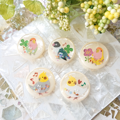 クジラカボションとお魚ボタン☆5個 s5 くじら/鯨/海/ボタン 