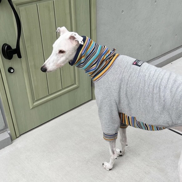 【オーダー】おおきな苺のハイネックロンT犬服 オーダー】おおきな苺のハイネックロンT犬服