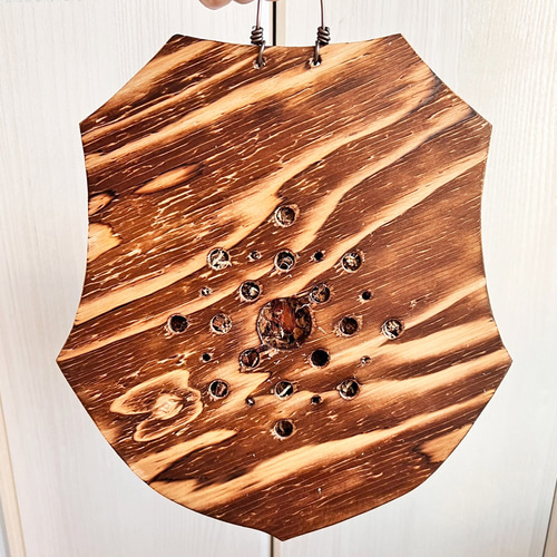 ビカクシダ ウィリンキー 板付 観葉植物 壁掛け コウモリラン wi10