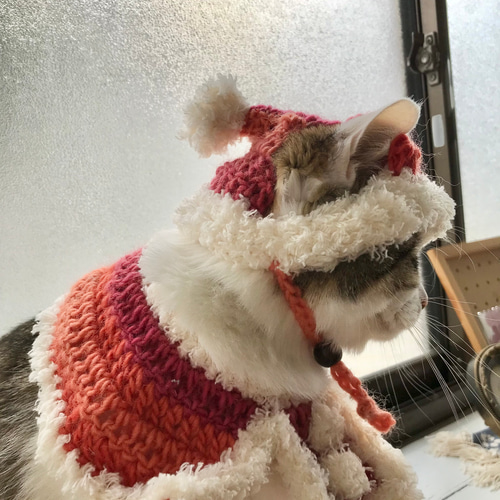 猫ちゃんふわふわサンタ帽とケープセット おもちゃ・ペット小物