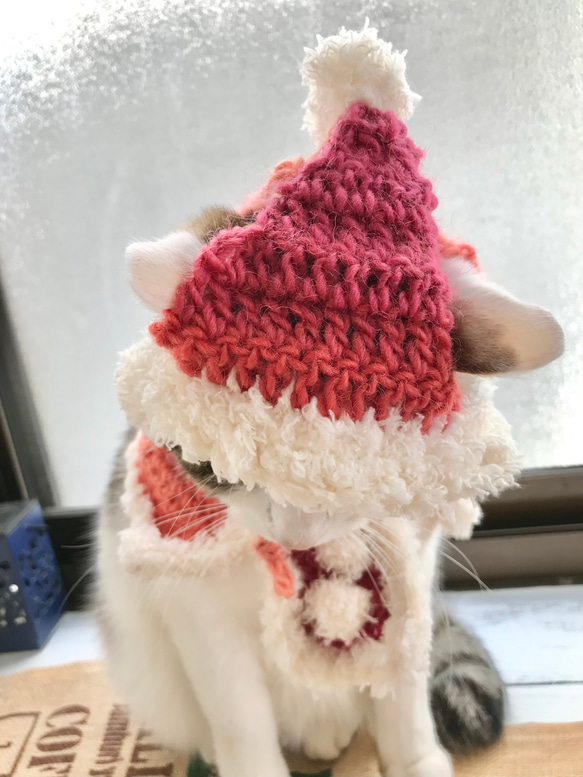 猫ちゃんふわふわサンタ帽とケープセット 7枚目の画像