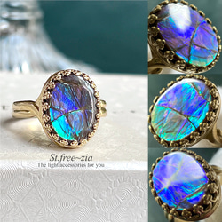 真鍮☆大粒☆宝石質アンモライトAAA-☆11〜18号フリーサイズ☆13.2