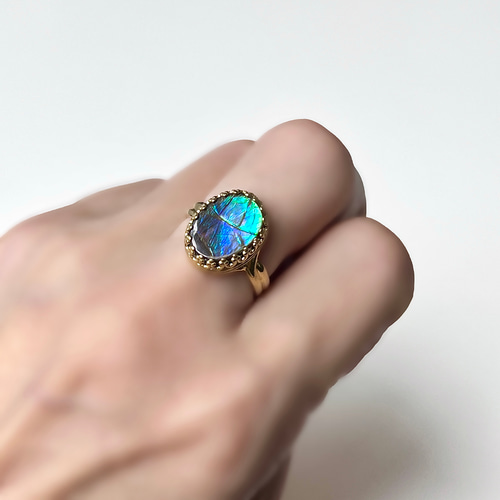 真鍮☆大粒☆宝石質アンモライトAAA-☆11〜18号フリーサイズ☆13.2