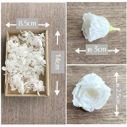 バラの飾り物2種類 バラの咲き方「クラシック」タイプの花形の魅力【バラの専門家が