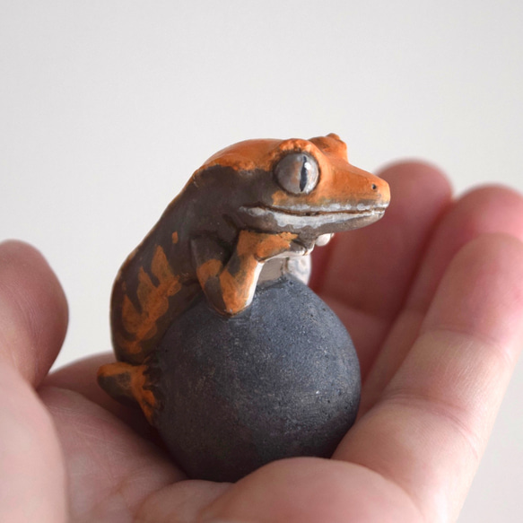 Crested gecko on the stone 第2張的照片