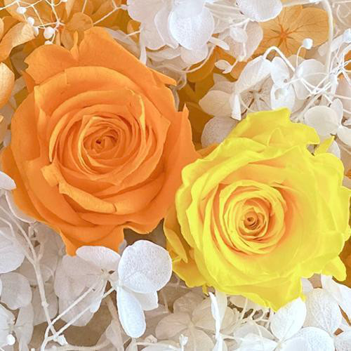 プリザーブドフラワー オレンジバラ＆黄色バラ オレンジ＆ホワイトの