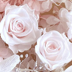 プリザーブドフラワー　ライトピンクバラ 2輪 　白＆ピンクあじさい　シルバーカスミソウ　花材セット 2枚目の画像