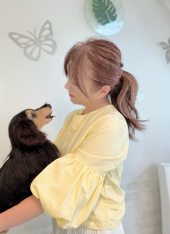 ダックス♡抱っこサイズ♡大きいサイズ オーダー 世界でたった一つ 