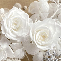 プリザーブドフラワー　ホワイトバラ 2輪 　ホワイト・白あじさい　シルバーカスミソウ　花材セット 2枚目の画像