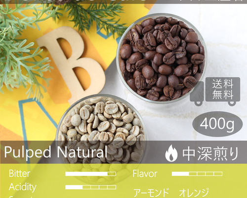 ブラジル 400g 