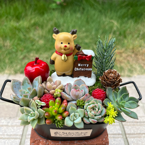 ☆送料無料☆♡そのまま飾れる♡クリスマス☆トナカイの多肉植物寄せ