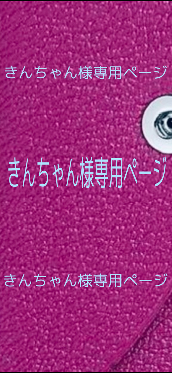 きんちゃん様専用オーダーページ 1枚目の画像