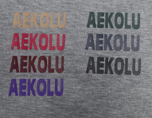 グレーネームパーカー（薄手タイプ）♡名入れ♡犬服 5枚目の画像