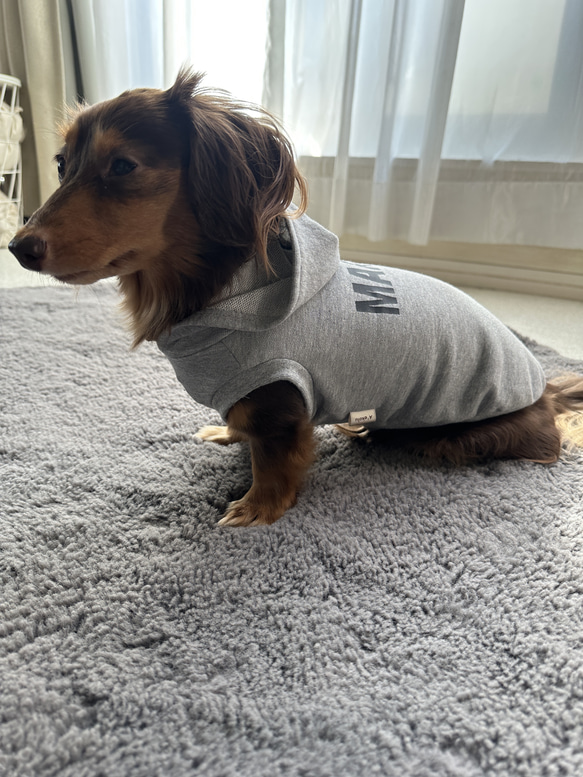 グレーネームパーカー（薄手タイプ）♡名入れ♡犬服 2枚目の画像
