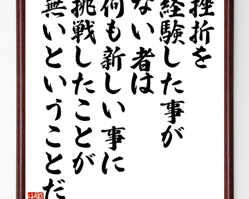アインシュタインの名言「挫折を経験した事がない者は、何も新しい事に