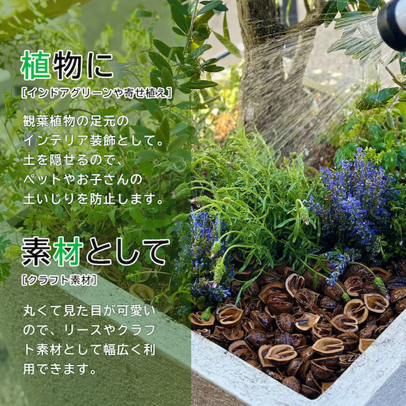 【送料無料】森のクルミン（5L×3袋）クルミの殻のマルチング材。クラフト素材や植物の足元のグランドカバーなどに 3枚目の画像