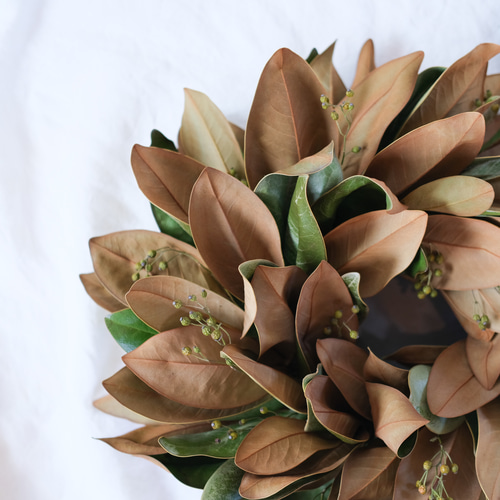 マグノリアと野バラの実のリース＊タイサンボクリース＊リース リース