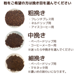 グアテマラ　アティトラン･カレドニア農園［100g］/スペシャルティコーヒー/自家焙煎コーヒー豆 3枚目の画像