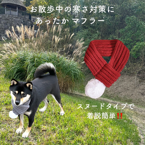 motto_dog 01 / CORDURA モットドッグ + 冬の装いマフラー ペット マフラー 冬 服 犬用 猫用 ペット服 冬物 犬服 ドッグ