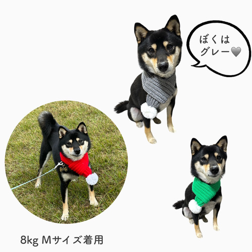 motto_dog 01 / CORDURA モットドッグ + 冬の装いマフラー motto_dog 01 / CORDURA モットドッグ + 冬の装いマフラー