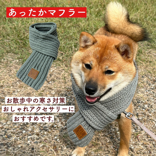 motto_dog 01 / CORDURA モットドッグ + 冬の装いマフラー motto_dog 01 心地好く / CORDURA モットドッグ 冬の装いマフラー