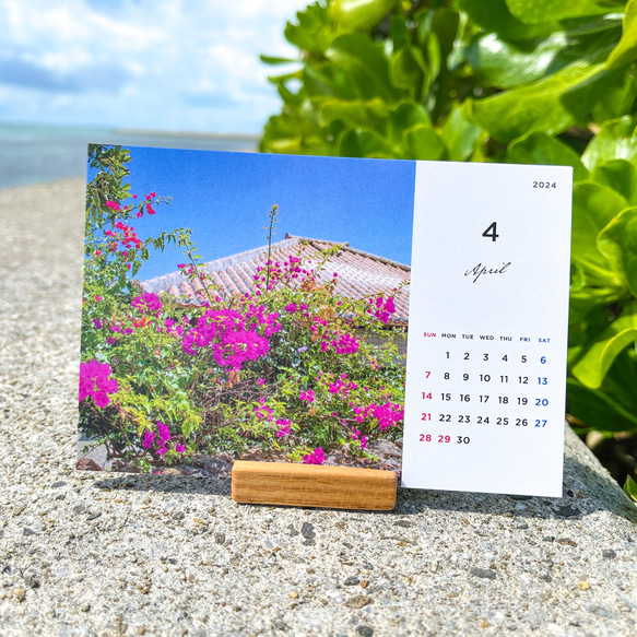 【也可以選擇4月入手/優惠300日元作為答謝】2024年治癒沖繩台曆【mizuphoto原創】 第12張的照片