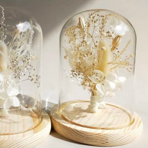 ガラスインテリアドーム プリザーブドフラワー mimi.0115 通販