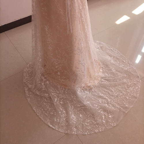 フランス風 薄シャンパンの色 パーティードレス シースルー袖 繊細  