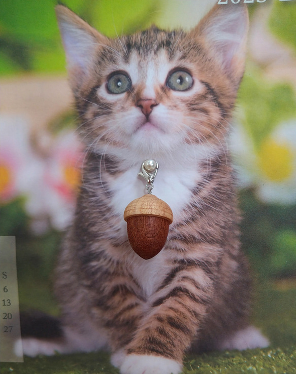 どんぐりカニカンチャーム 20 どんぐりカニカンチャーム 3個 ③ 新