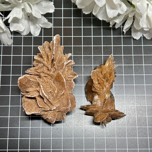 デザートローズ モロッコ産〖砂漠の薔薇（バラ）〗 1個 ～知性の