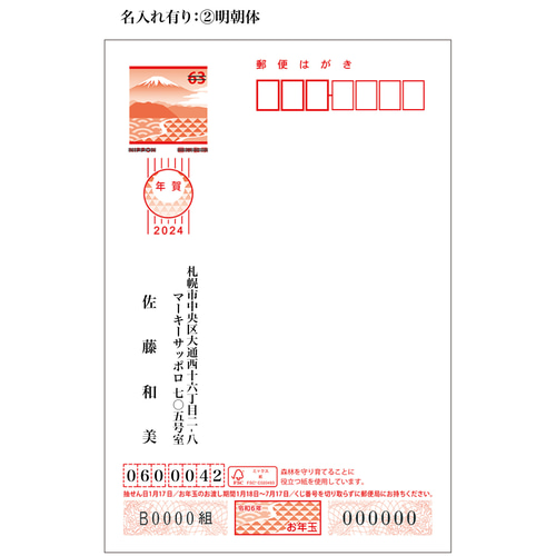 2024年賀はがき新品未開封200枚 2025年 (令和7年) 巳年 デザイン パック年賀状 5枚入り (A-09