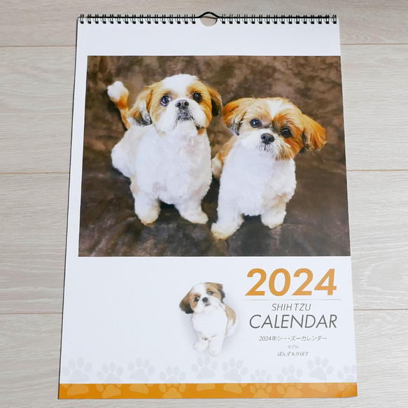 2024年 シーズー親子の壁掛けカレンダーA3　モデル：ぽんず＆かぼす 1枚目の画像