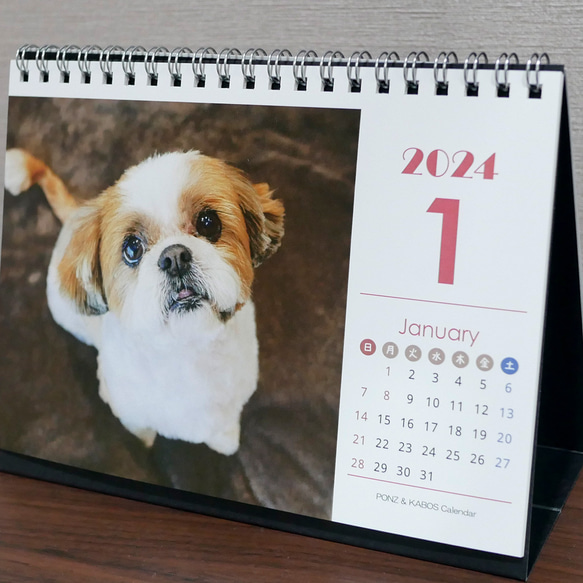 2024年 シーズー親子の卓上カレンダー　モデル：ぽんず＆かぼす 4枚目の画像
