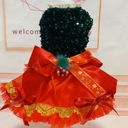 完成品モミの木カラーのクリスマスドレス 1枚目の画像