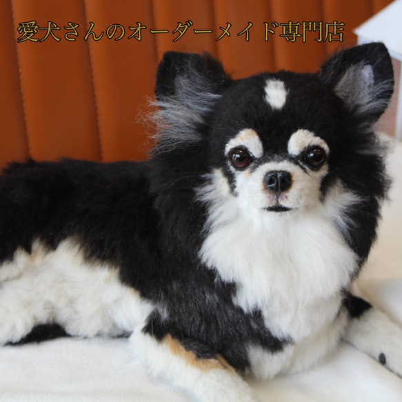 《愛犬さんのオーダー》羊毛フェルト　オーダー　羊毛フェルト　うちの子　チワワ　ダックス　トイプードル　ポメラニアン　犬　 8枚目の画像