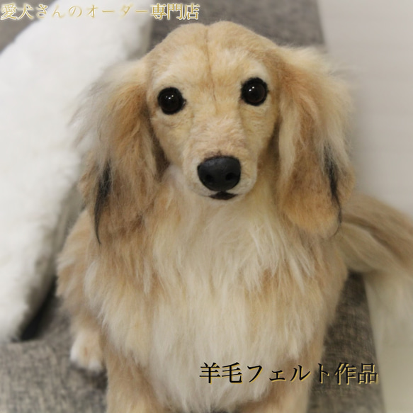 《愛犬さんのオーダー》羊毛フェルト　オーダー　羊毛フェルト　うちの子　チワワ　ダックス　トイプードル　ポメラニアン　犬　 12枚目の画像