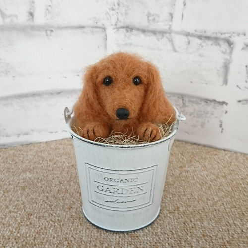 羊毛フェルトアレンジメントミニチュアダックストイプードル