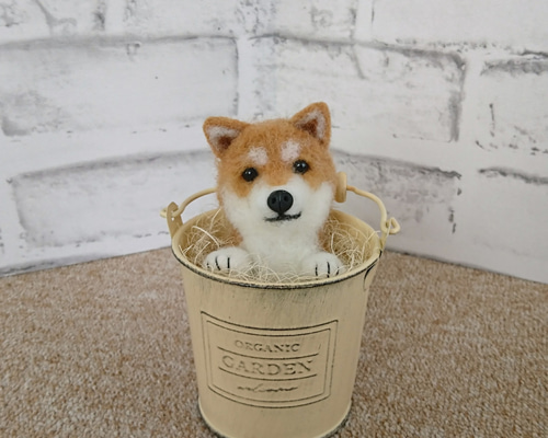 羊毛フェルト 柴犬 ☆ インテリア缶 その他置物 ☆リス☆ 通販