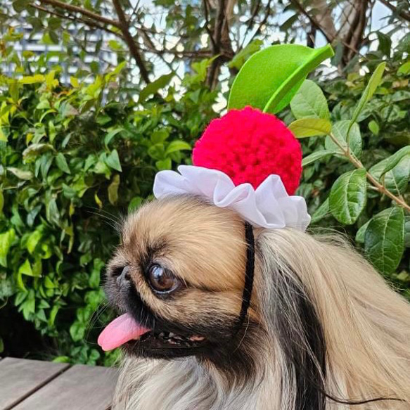 さくらんぼ の 帽子　チェリー　ヘアバンド　撮影会　 クリスマス　お誕生日に 7枚目の画像