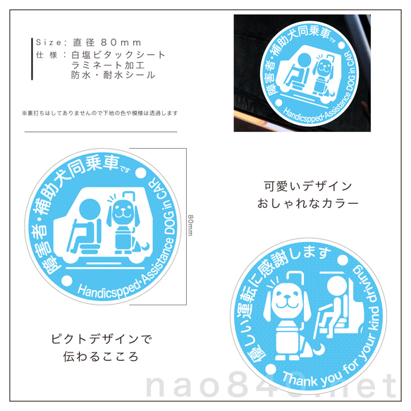 可愛く、お洒落に、選べるカラー　視覚障害者補助犬同乗車ステッカー2枚組　ウィンドウ用ステッカー　ライトブルー 2枚目の画像