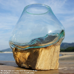 吹きガラスと天然木のオブジェTN 金魚鉢 メダカ 水槽 アクアリウム テラリウム コケリウム 花瓶 流木ガラス ブルー 3枚目の画像