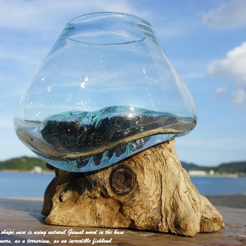 吹きガラスと天然木のオブジェTN 金魚鉢 メダカ 水槽