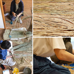 Shimekazari新年裝飾龍裝飾龍龍山茶花日本製造手工國產稻草國產水引註繩注連繩水引新年新年促銷 第5張的照片