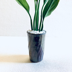 ハイドロカルチャー　アグラオネマ  シルバーキング　小石原焼　陶器　観葉植物 7枚目の画像