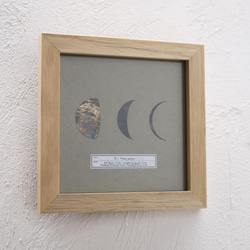 【一点物】アートパネル「月の標本」／金属／アートフレーム／卓上／壁掛け／ウォールアート／#インテリアアート 9枚目の画像