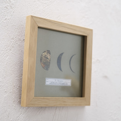 【一点物】アートパネル「月の標本」／金属／アートフレーム／卓上／壁掛け／ウォールアート／#インテリアアート 10枚目の画像