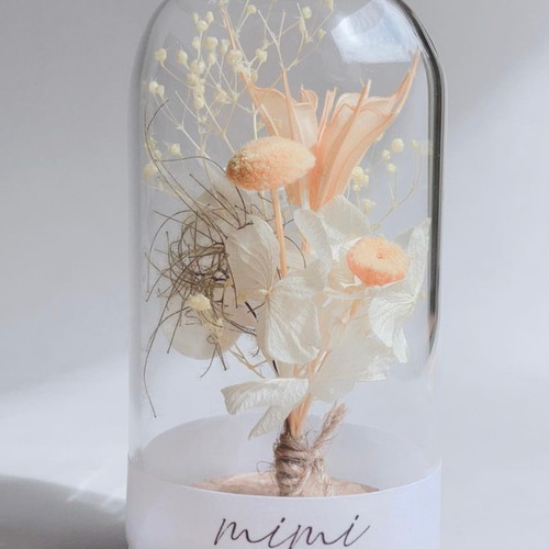 ガラスインテリアドーム プリザーブドフラワー mimi.0115 通販