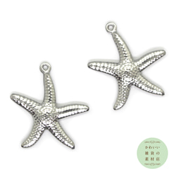 304ステンレス製のヒトデのやや大きめチャーム（シルバーカラー）2個セット #C-0208 1枚目の画像