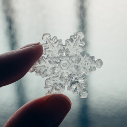 【特集掲載】雪、ついてるよ no.13　雪の結晶　ピンブローチ　樹枝結晶《2月末まで》 5枚目の画像